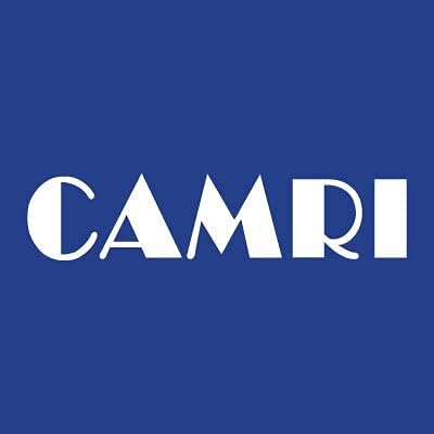 Camri Stainless Steel Dinner Fork - Set of 2 – C62
